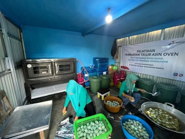 Pengembangan budidaya bebek petelur melalui Program Agrokompleks Hasanuddin (Dok : Ist).