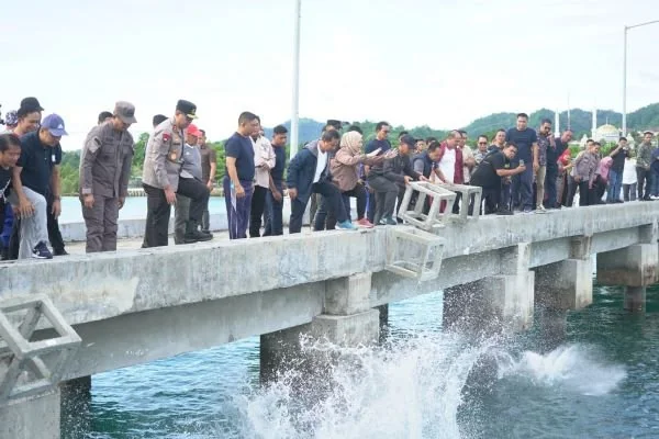 Penurunan karang buatan di Mako Lanal Mamuju (Dok : Ist).
