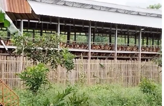 (Foto : Dok. KabarMakassar Saleh Sibali)