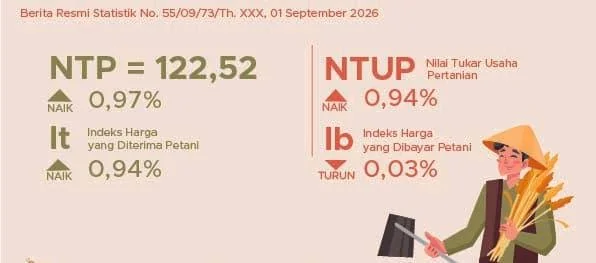 Infografik BPS (Dok: Ist).