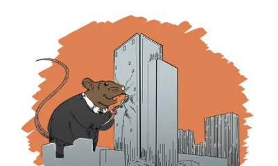 Ilustrasi (Foto : INT).
