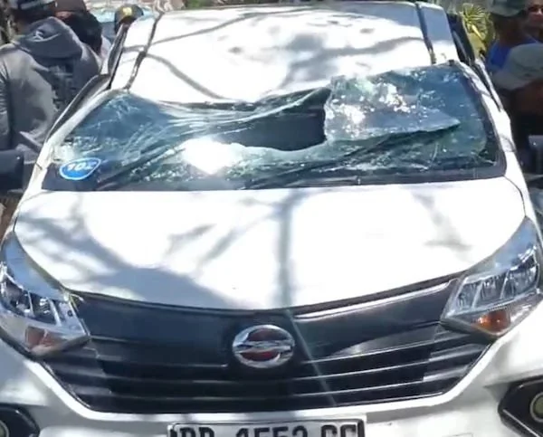 Mobil Dg. Ngitung, saat tertimpa pohon tumbang di Jalan Sungai Kelara (ist)