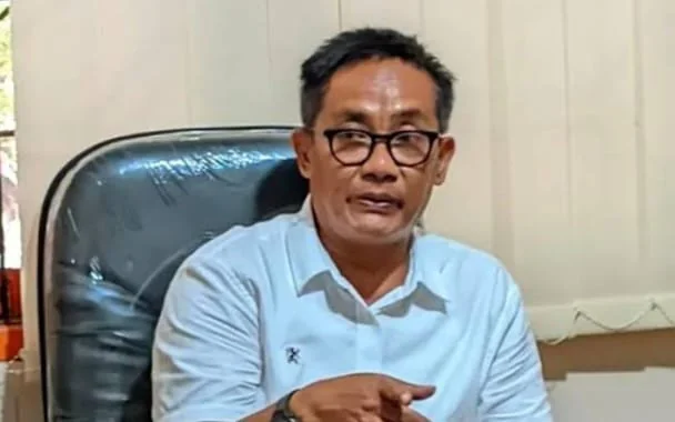 Pelaksana Tugas (Plt) Direktur Utama Perumda Pasar Makassar Ali Gauli Arief, (Dok: Ist).
