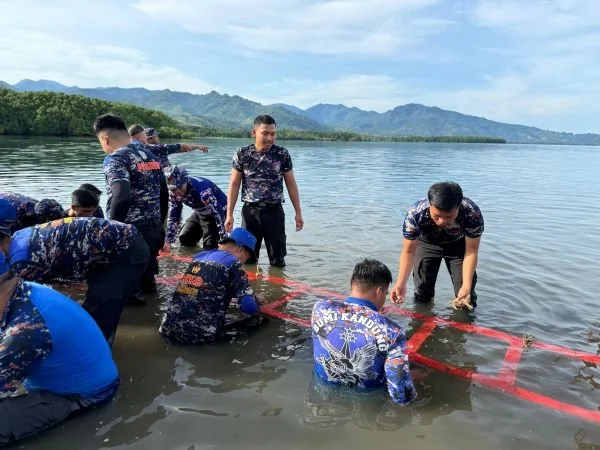 Proses transplantasi terumbu karang oleh Ditpolairud Polda Sulbar (Dok : Ist).