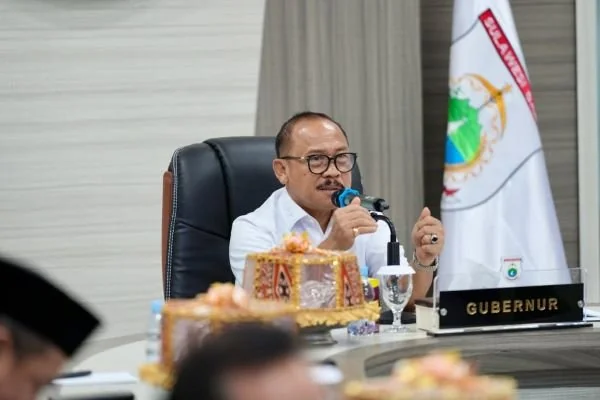 Gubernur Sulbar Suhardi Duka (dok:ist)