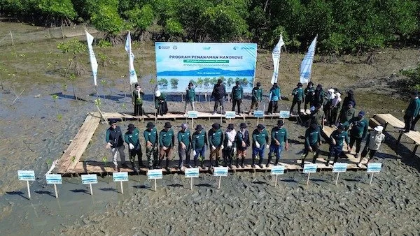 Kick Off rehabilitasi mangrove tahun 2025 di Kabupaten Bone (Dok: Ist)