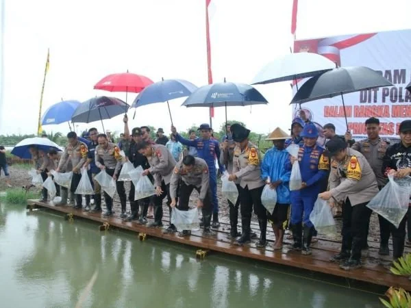 Penaburan benih ikan di empang panaikang, Makassar (Dok: Ist).