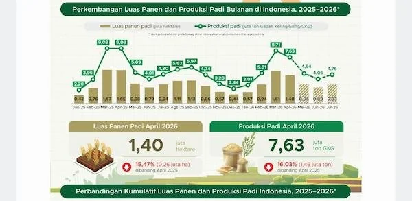 Infografik Produksi Beras dan padi (Dok: Ist).