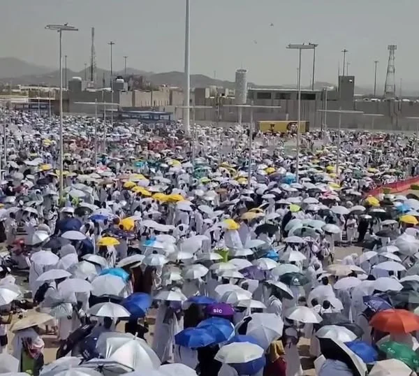 Ilustrasi Wukuf di Arafah. Dok. Ist