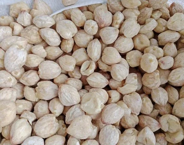 Kemiri (Dok: KabarMakassar).