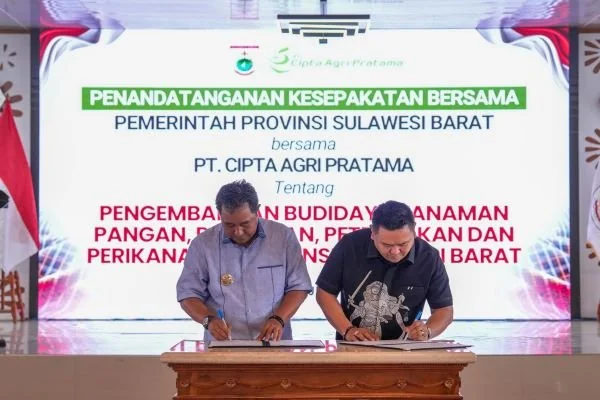 Penandatanganan MoU Pemprov Sulbar dengan investor (Dok : Ist).