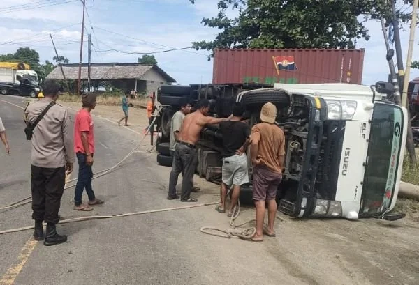 Mobil box ekspedisi terbaik di Jalan Trans Sulawesi (Dok : Ist).