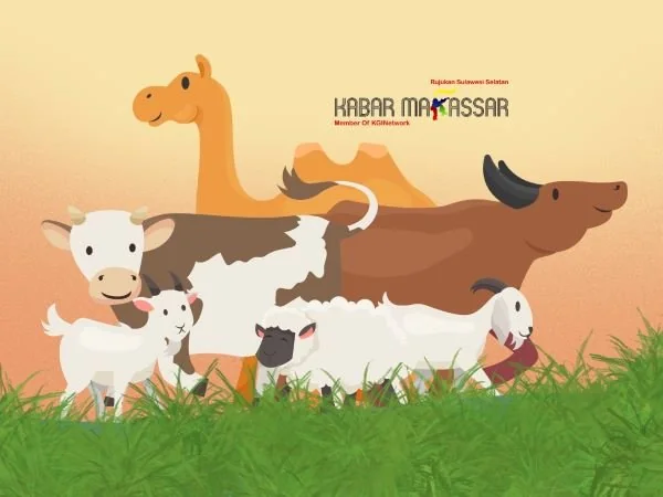 Ilustrasi hewan kurban (Dok : KabarMakassar).