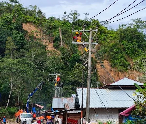 Petugas PLN sedang memperbaiki konstruksi jaringan listrik di Desa Lubuk Sibuk, Kuala Simpang, Aceh Tamiang. Jaringan listrik ini merupakan salah satu yang terdampak oleh banjir dan tanah longsor yang sempat melanda wilayah tersebut.