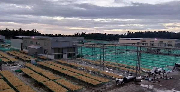 Petugas PLN tengah memastikan keandalan pasokan listrik bagi PT Biota Laut Ganggang (BLG) yang berlokasi di Desa Polewali, Kecamatan Suppa, Kabupaten Pinrang, Sulawesi Selatan.

PT BLG merupakan industri pengolahan rumput laut yang menargetkan ekspor ke p