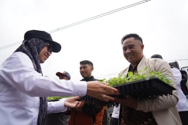 Penerimaan Benih Kentang, (Dok: Ist).