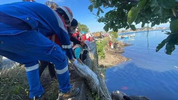 Coastal Clean Up di Pantai Belakang FT Parepare (Dok : Ist).