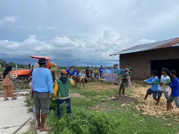 Petani Desa Londrong bersama Warga Menggelar Syukuran dan Potong Sapi. (Dok: Fitriani lestari)